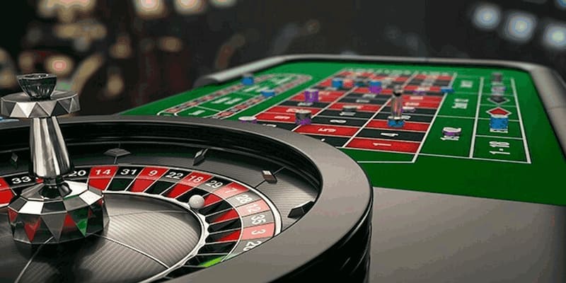 Hướng dẫn đặt cược tại sảnh game dg casino win55