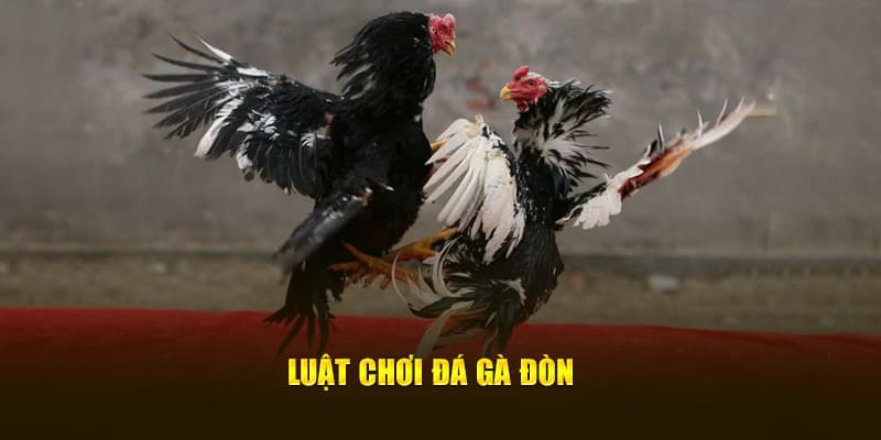 luật chơi đá gà đòn