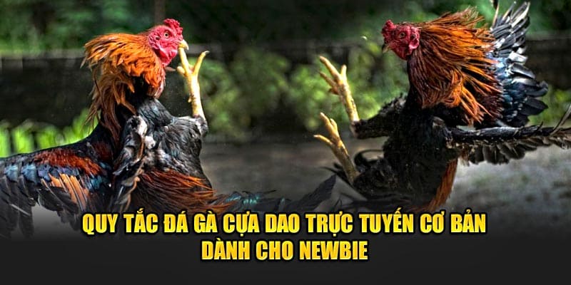 Kinh nghiệm bắt kèo đá gà cựa dao từ chuyên gia