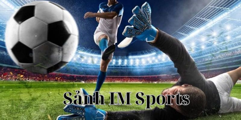 giới thiệu về sảnh im sports win55